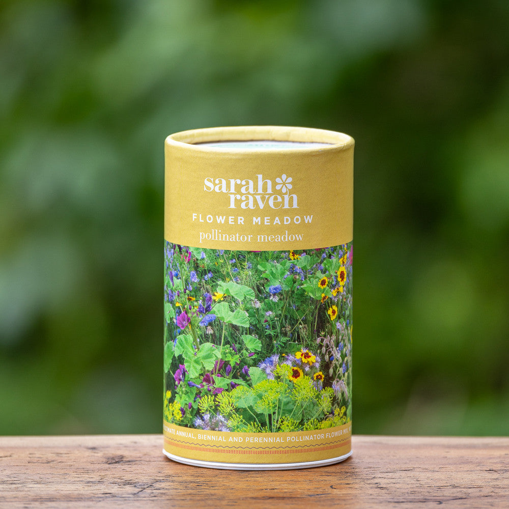 Sarah Raven Seeds Pollinator Meadow Blumensamen 6g Bienenwiese