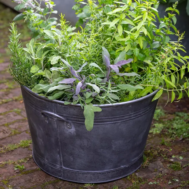 Sarah Raven Essential Zinc Planter Pflanztopf Zink 59 cm