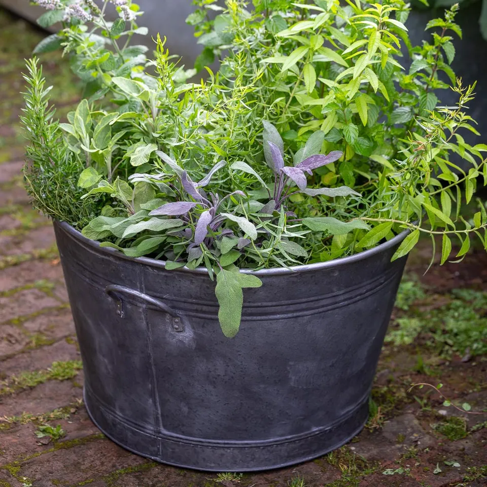 Sarah Raven Essential Zinc Planter Pflanztopf Zink 59 cm