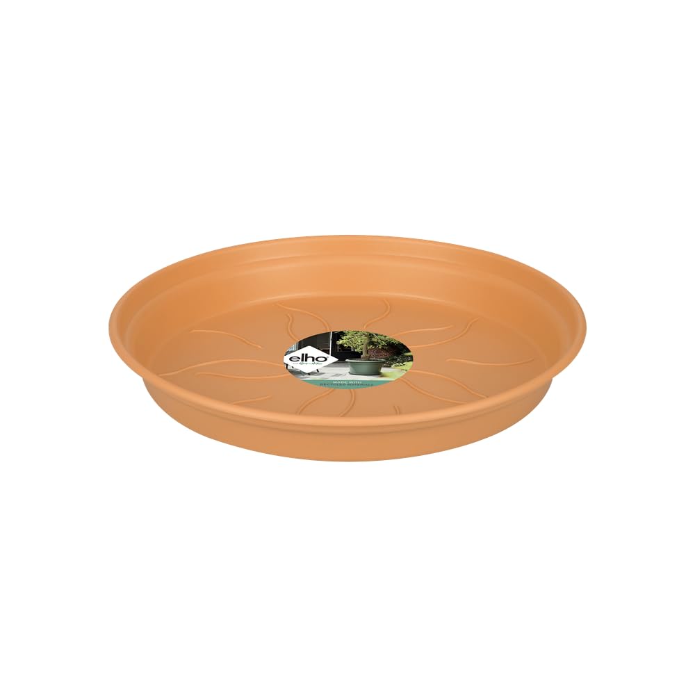 elho Green Basics Untersetzer 10 cm Transparent für Orchidee