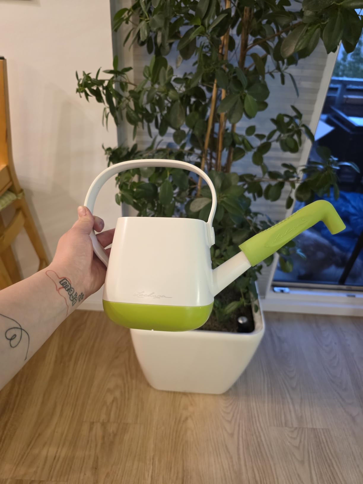 Lechuza Pico Gießkannenaufsatz Grün Kunststoff 12cm