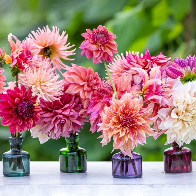 Sarah Raven Ink Bottle Vases Mini-Vasen 4er Set 10 cm bunt