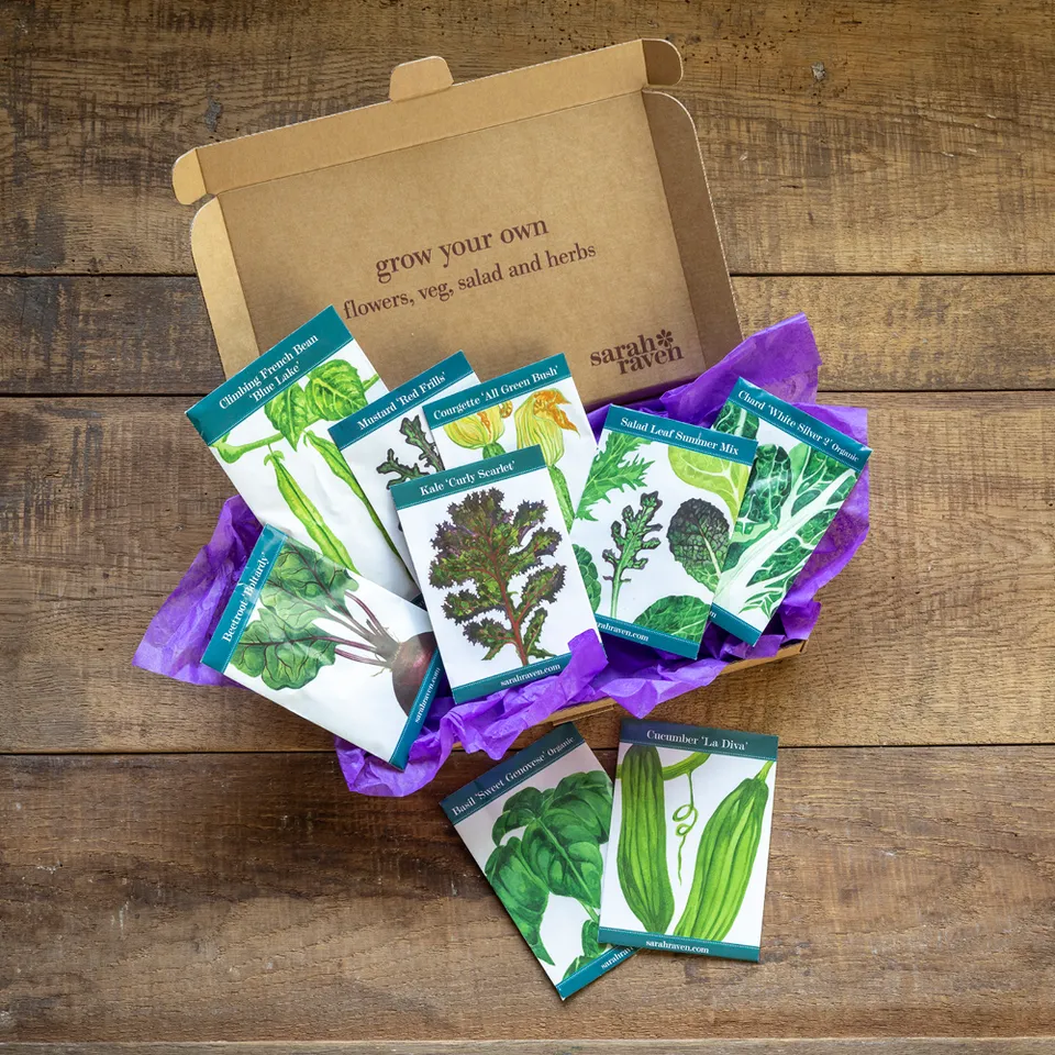 Sarah Raven Seeds Everyday Veg Small Plots Samen 9 Tüten Gemüse