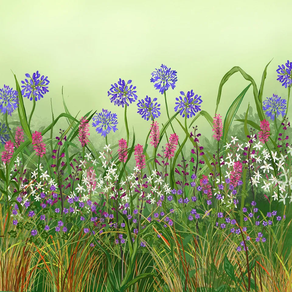Sarah Raven Plants Hot and Dry Border Collection Stauden 18 Stk