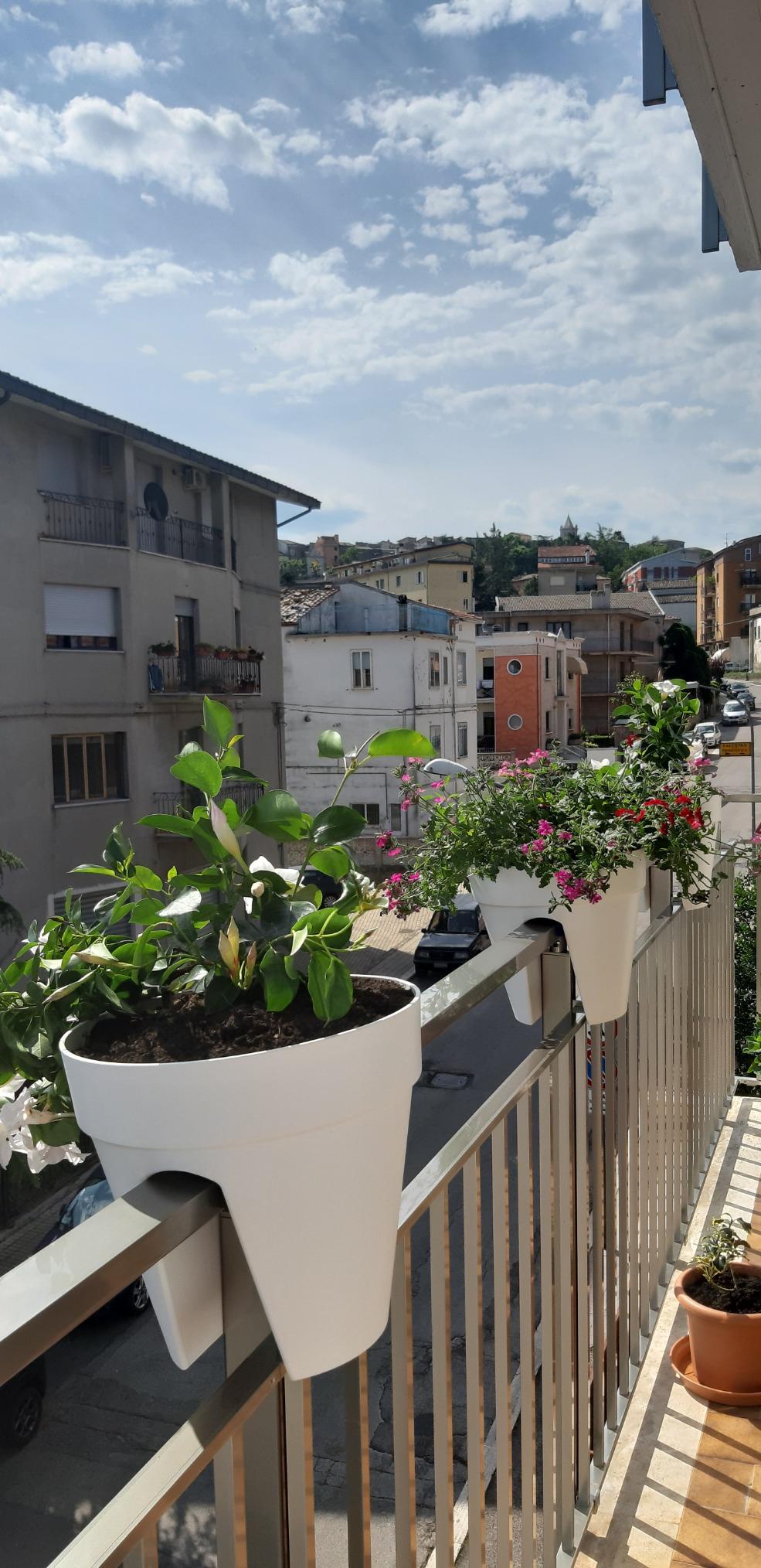 elho Loft Urban Flower Bridge 30 Balkonkasten Weiss mit Reservoir
