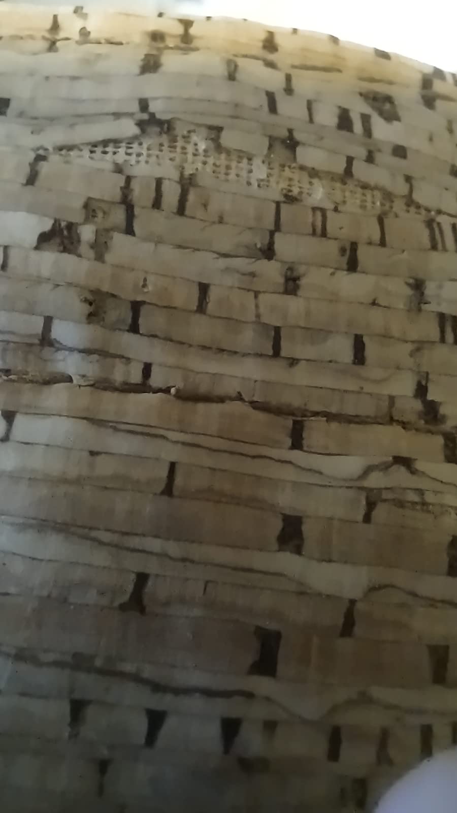 Lechuza Trendcover 23 Pflanzgefäß Kork Natur Dunkel Bewässerung