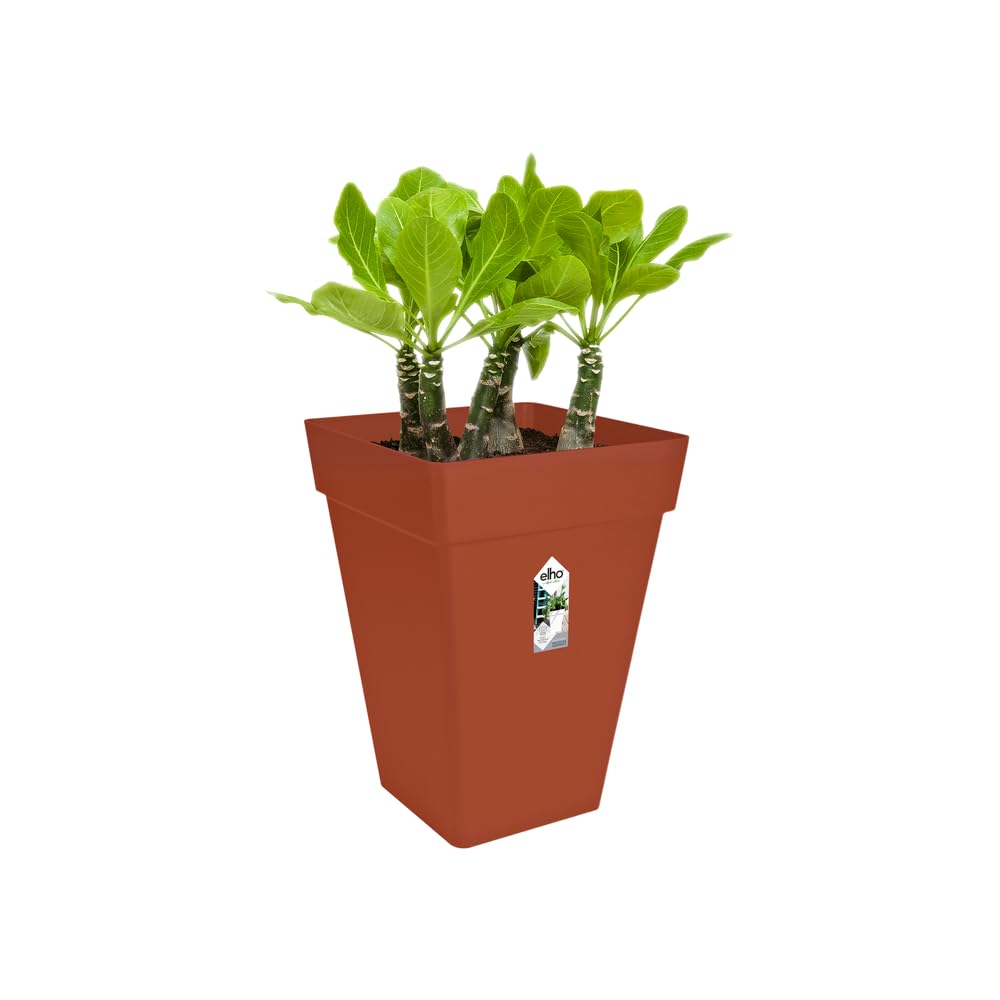 elho Loft Urban Eckig Hoch 30 Blumentopf Brique 29,5 cm
