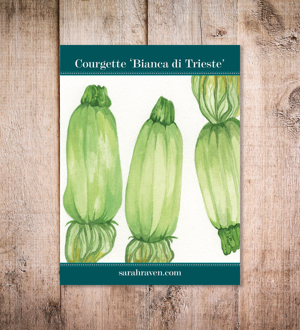 Sarah Raven Seeds Zucchini Bianca di Trieste 20 Samen