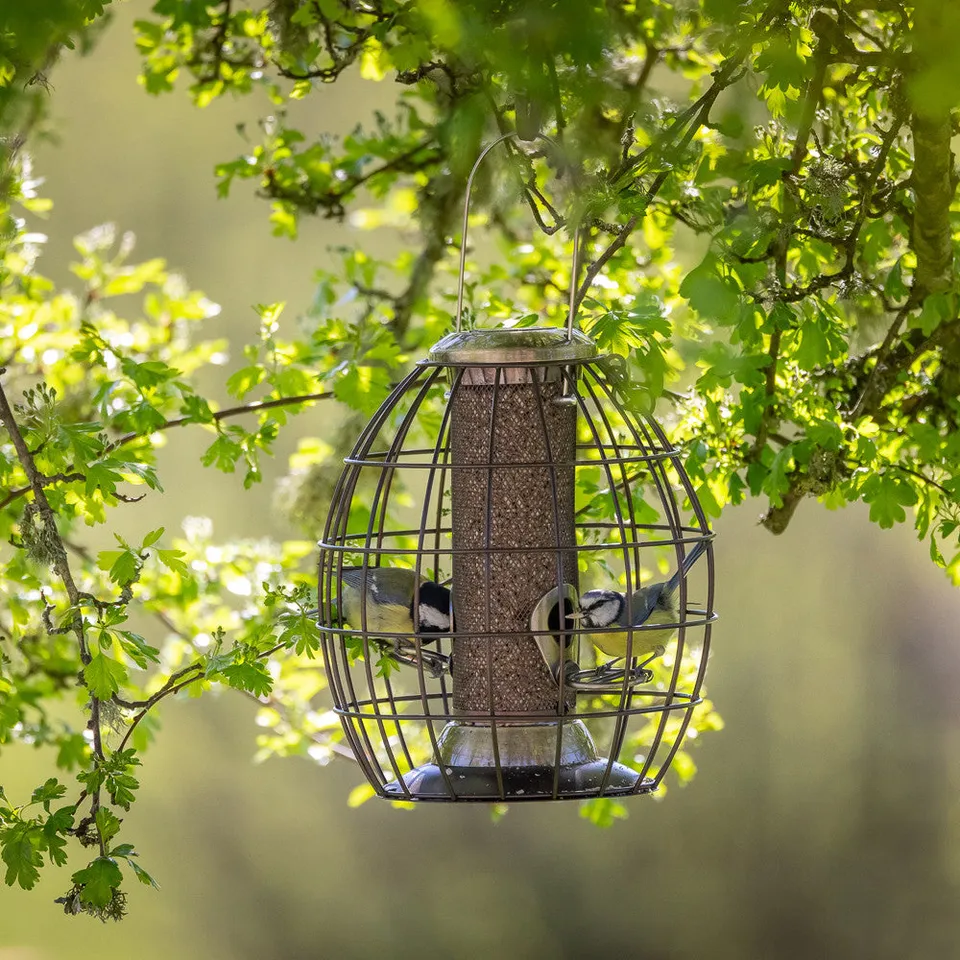 Sarah Raven Gardening Squirrel Proof Seed Feeder Vogelfutterhaus Alu