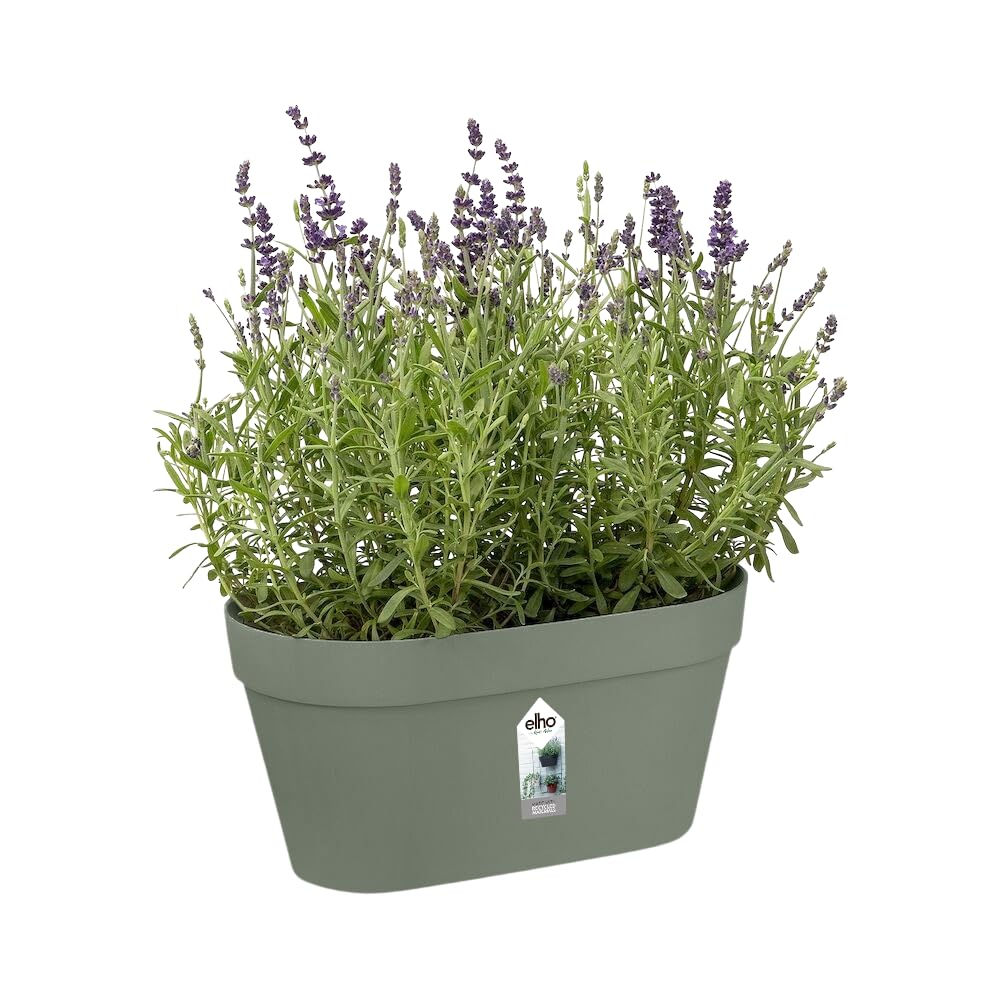elho Loft Urban Green Wall Duo Balkonkasten Pistazien Grün