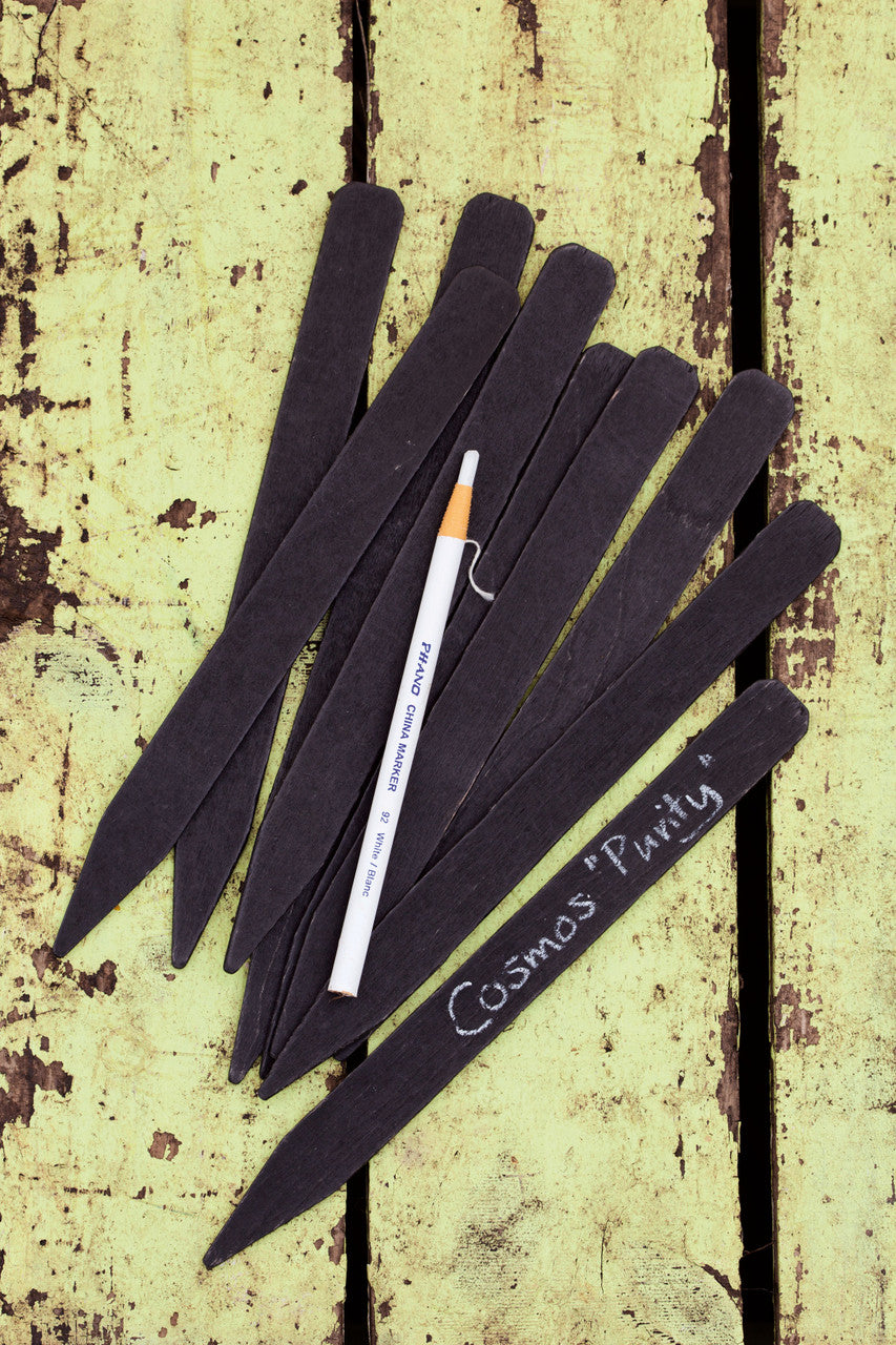 Sarah Raven Pflanzschilder Schwarz 20 Stück mit Stift 25cm