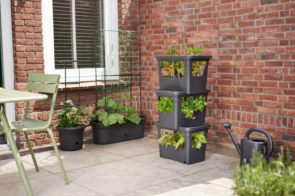 elho Green Basics Stack & Grow 50 Übertopf Schwarz Gemüse