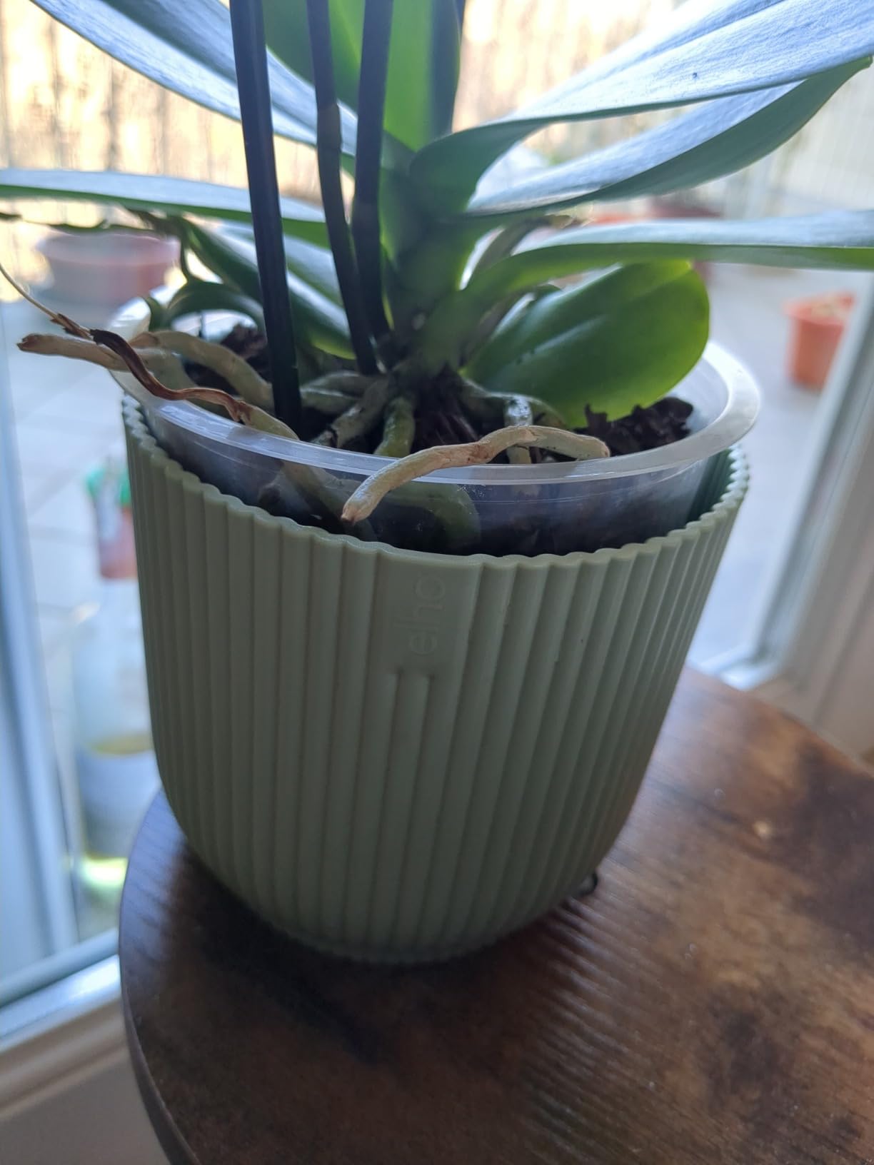 elho Vibes Blumentopf Mini 7cm buttergelb rund für innen