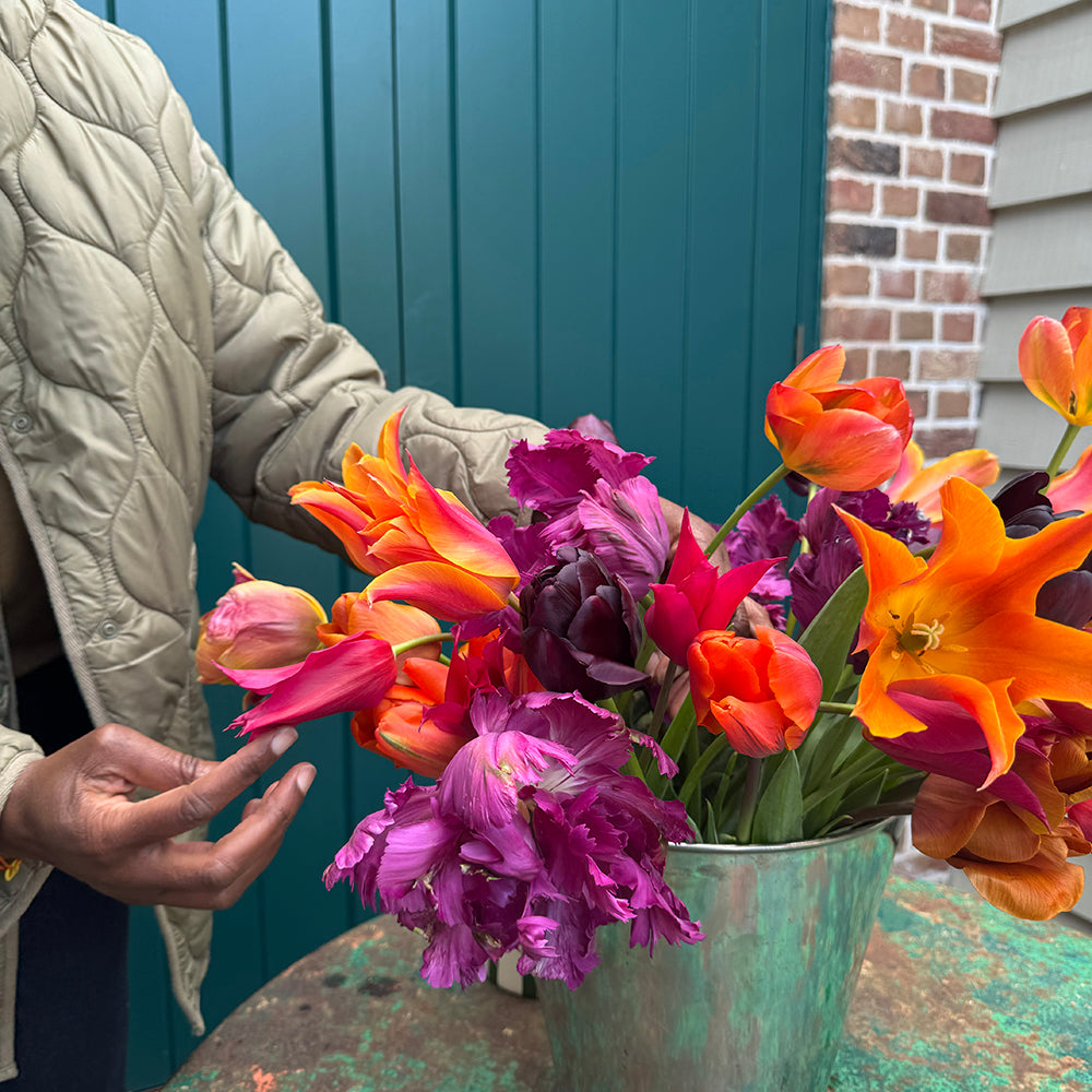Sarah Raven Bulbs Arit Anderson Tulip Collection 40 Blumenzwiebeln