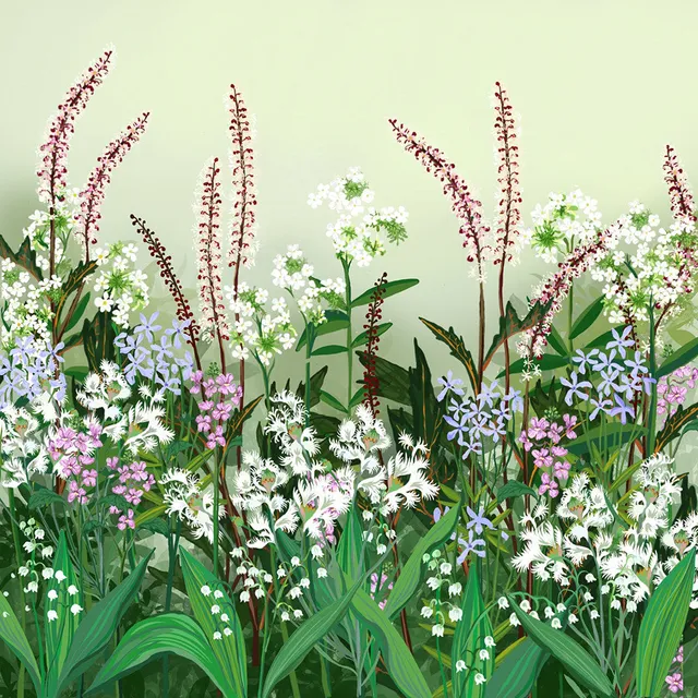 Sarah Raven Scented Border Collection Pflanzen 18x9cm Topf duftend