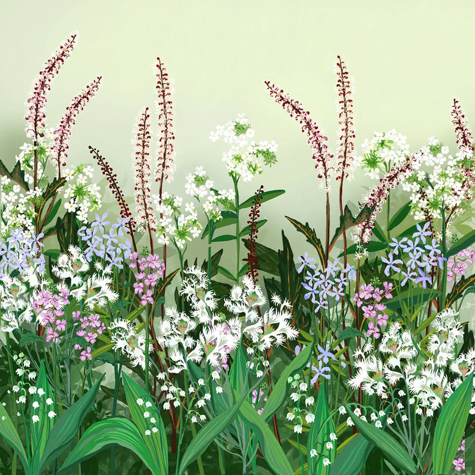 Sarah Raven Scented Border Collection Pflanzen 18x9cm Topf duftend