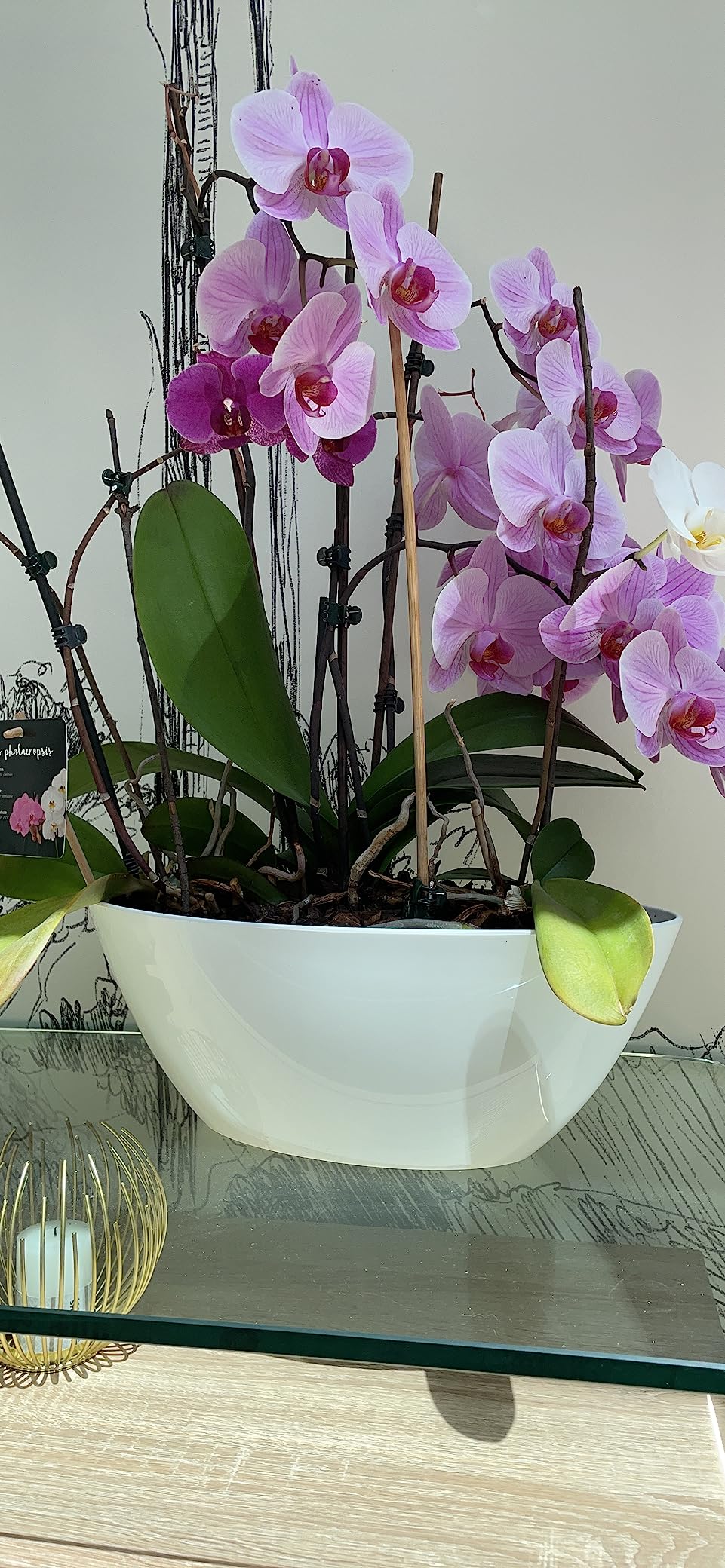 elho Brussels Diamond Oval 20 Blumentopf Schwarz Metallic