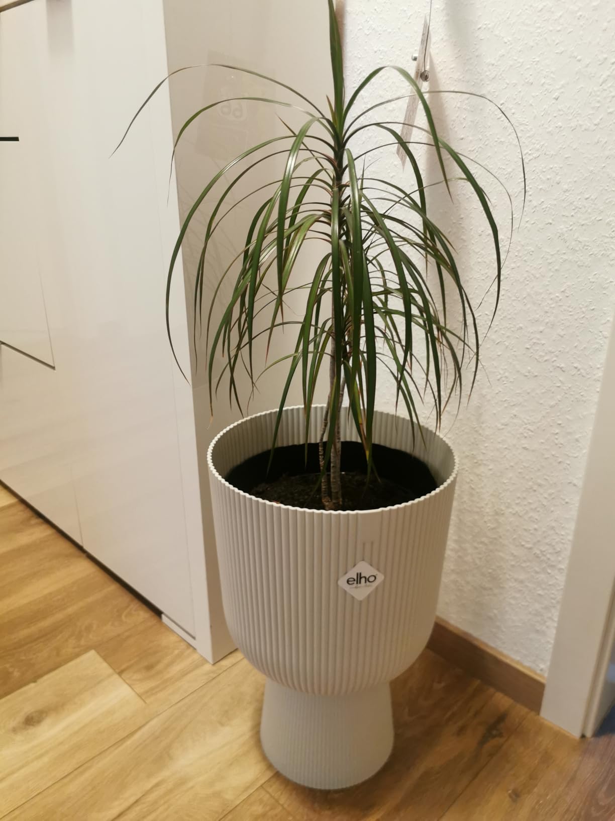 elho Vibes Fold Coupe Blumentopf Tiefes Blau 14 cm