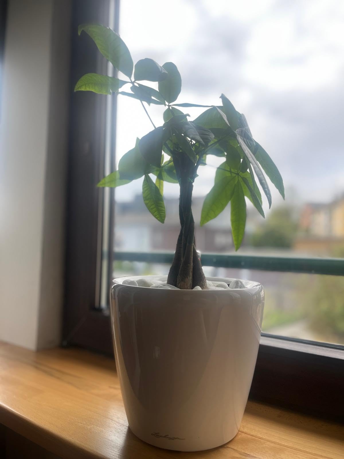Lechuza Classico Premium LS 35 Pflanzgefäß weiß Hochglanz