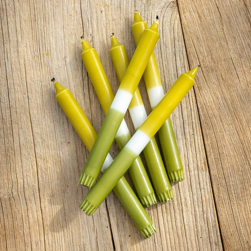 Sarah Raven Dip-dye Dinner Candles Kerzen 6er-Set Euphorbia Moss