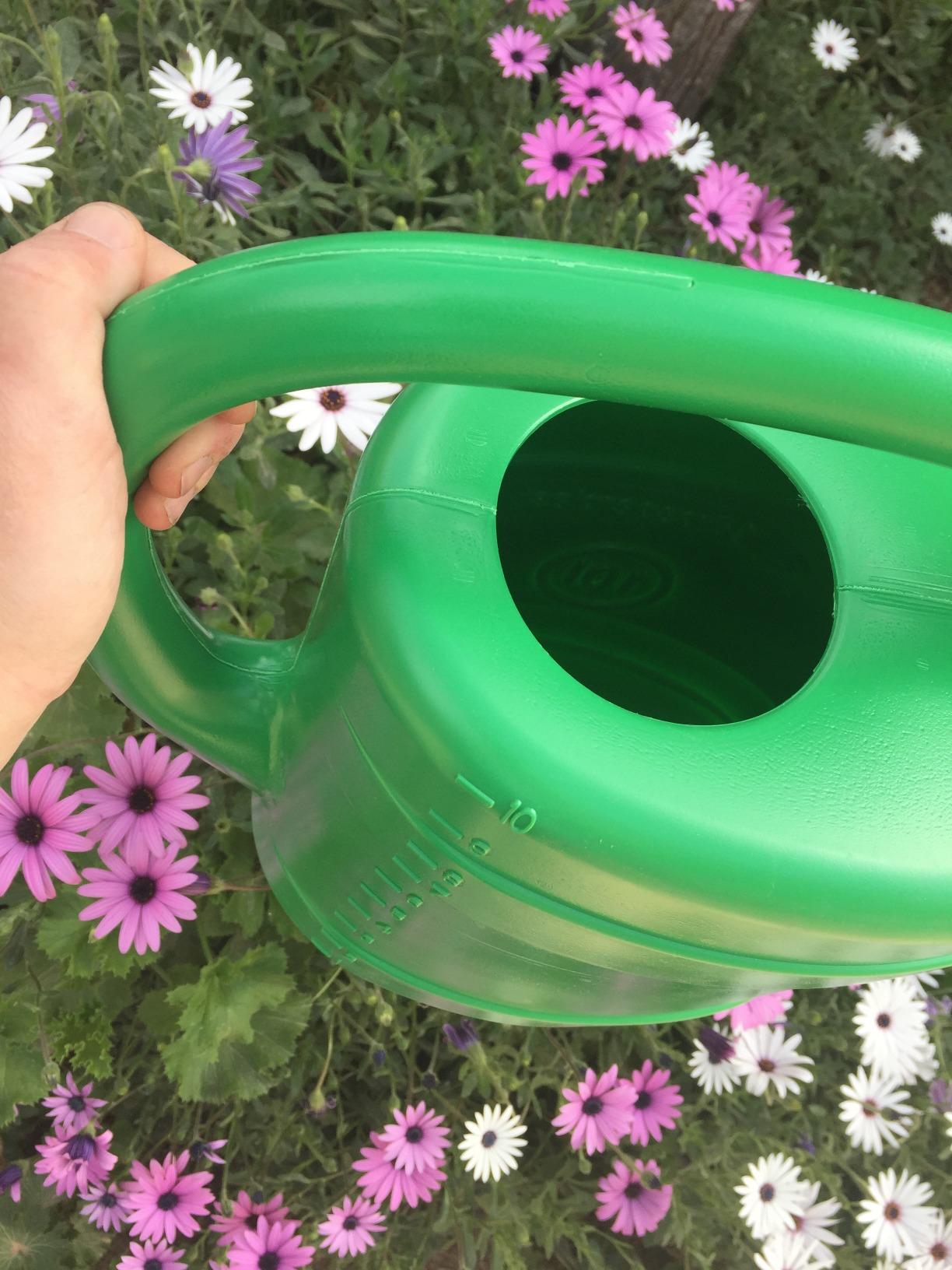 Prosperplast Classico Gießkanne 10 Liter grün 2er Set mit Brause
