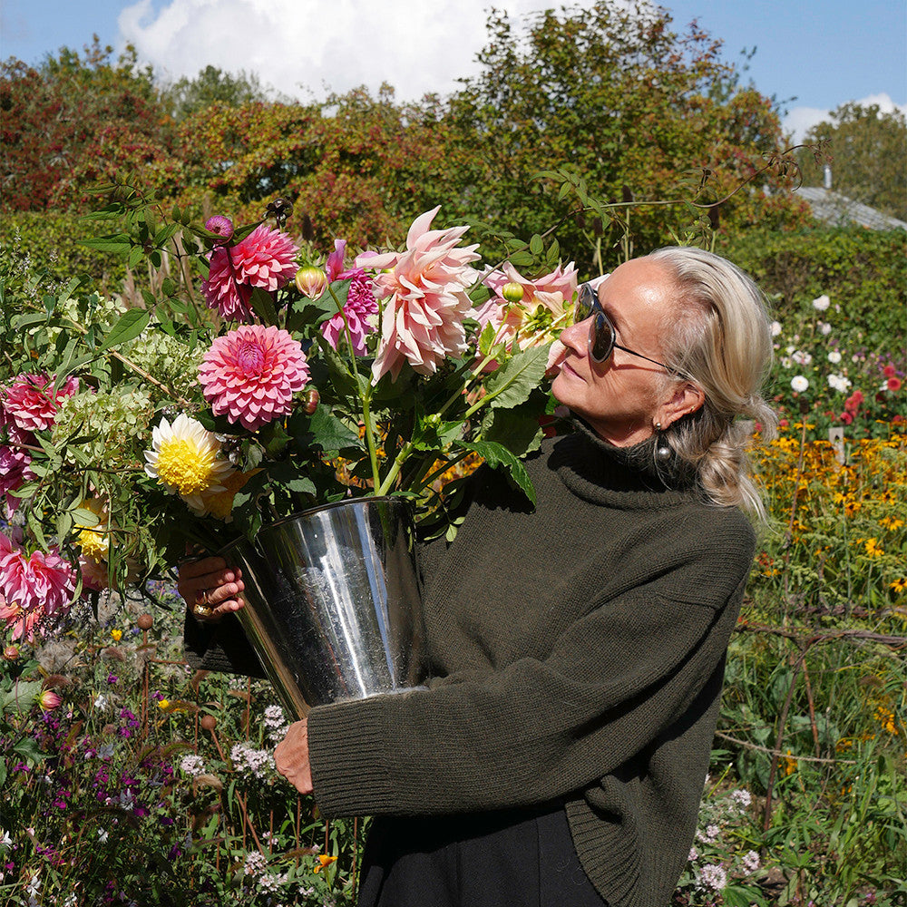 Sarah Raven Bulbs Lucinda Chambers Dahlia Collection Dahlienknollen 4 Knollen