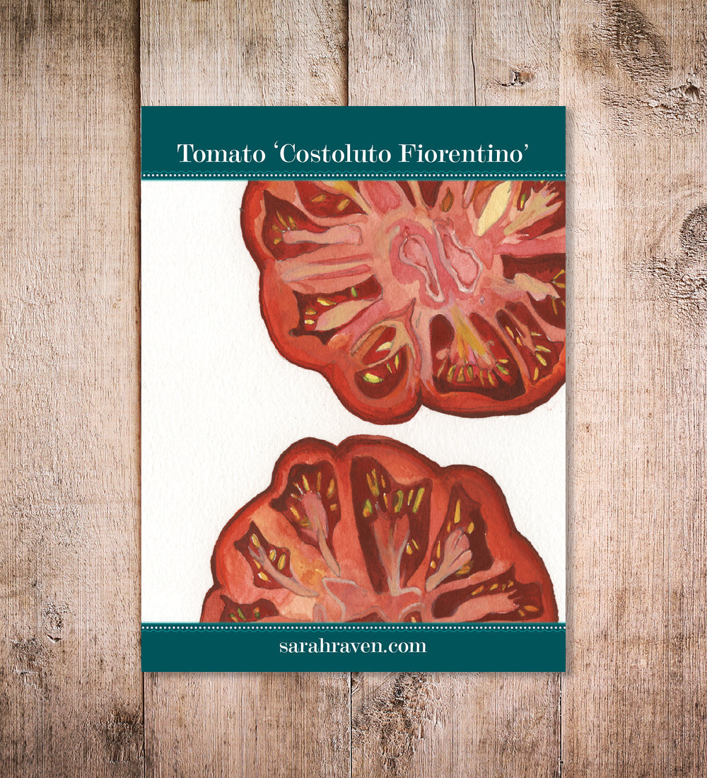Sarah Raven Seeds Tomate Costoluto Fiorentino Samen 45 Samen italienisch
