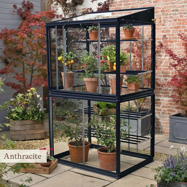 Sarah Raven Classic Grow House Gewächshaus Cotswold Grün Glas