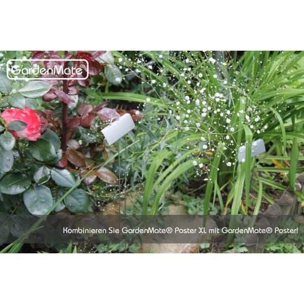 GardenMate Pflanzschilder Poster Metall 30cm 25er Set