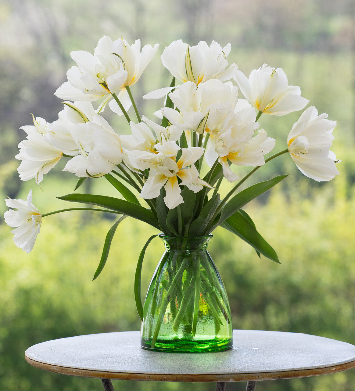 Sarah Raven Bulbs Tulpe White Valley Blumenzwiebeln 10 Stück weiß