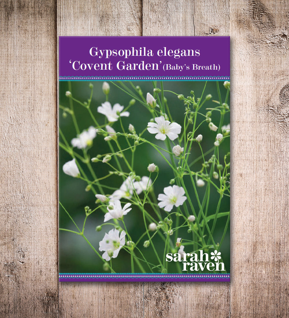Sarah Raven Gypsophila Covent Garden Samen 1000 Stück weiß