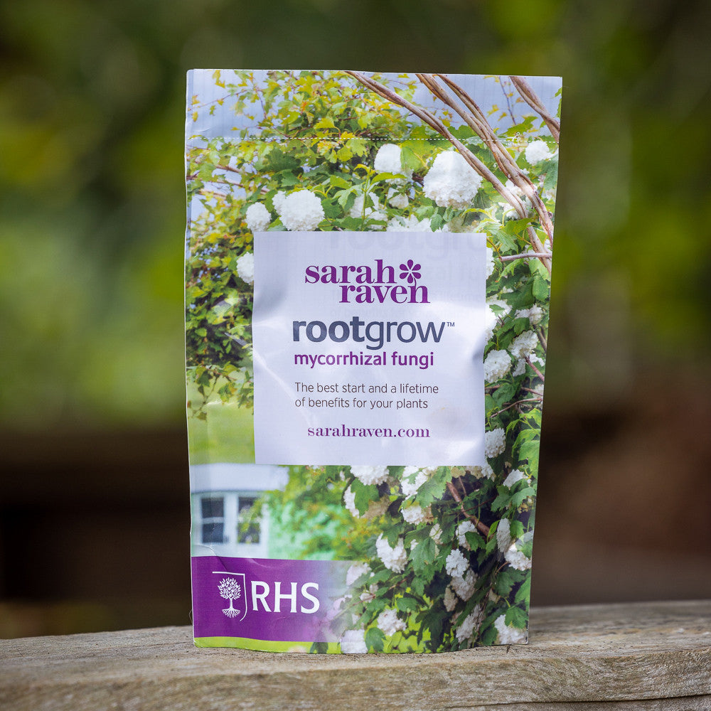 Sarah Raven Gardening Rootgrow Mykorrhiza Dünger 360g 3er Set