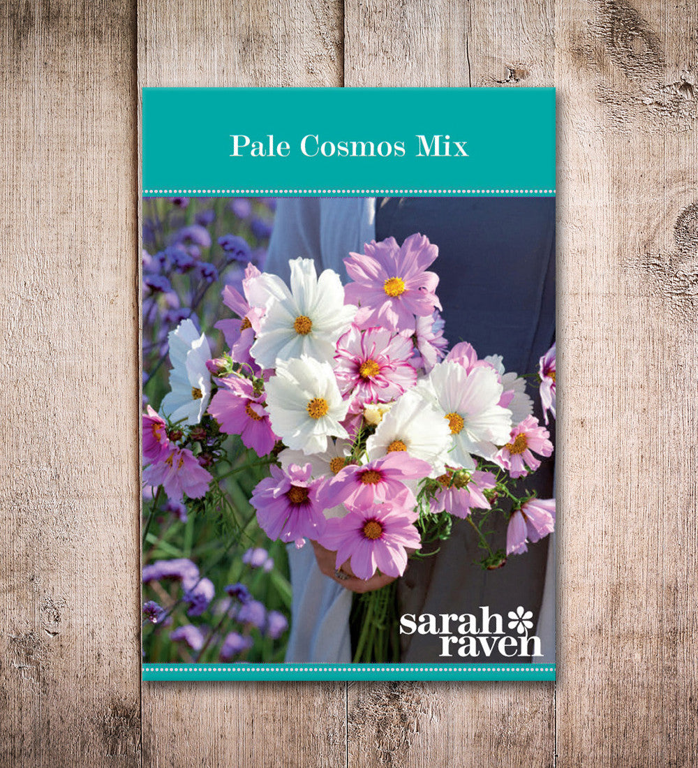Sarah Raven Plants Pale Cosmos Collection Pflanzen 12x 9cm helle Mischung