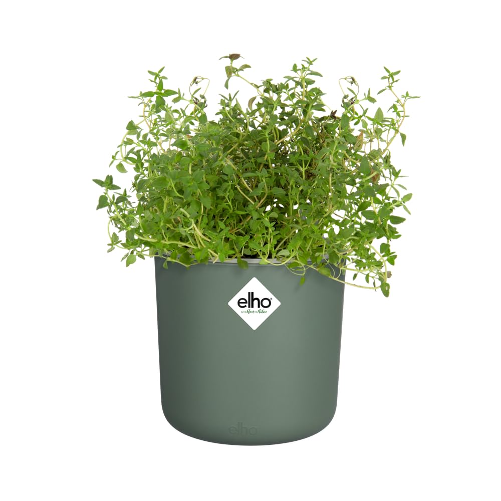 elho Happy Herbs 14 Kräutertopf Leaf Green 14,5 cm