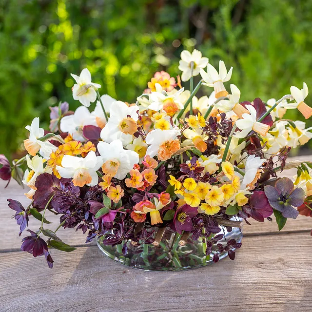 Sarah Raven Bulbs Crème Brulee Narcissus Blumenzwiebeln 40 Stück duftend