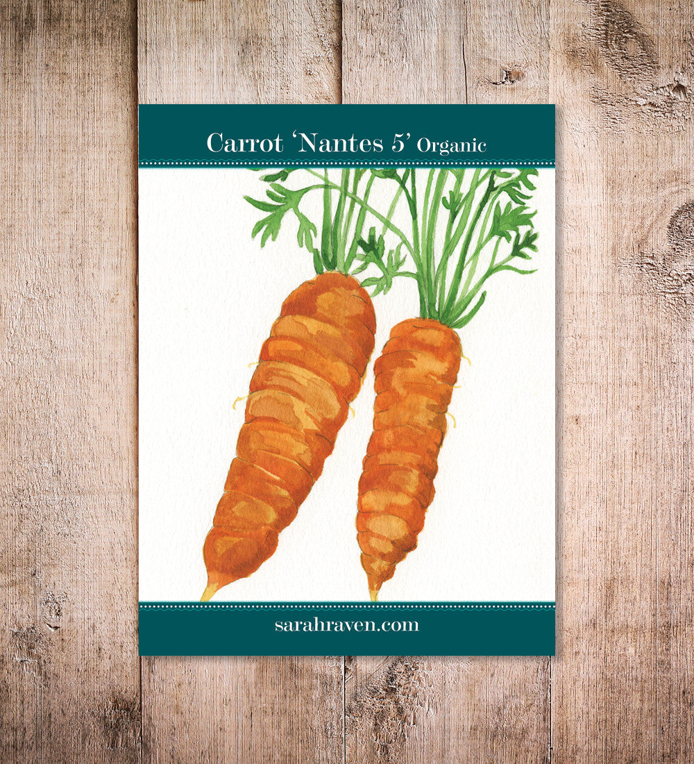 Sarah Raven Seeds Karotte Nantes 5 Samen 500 Samen Bio