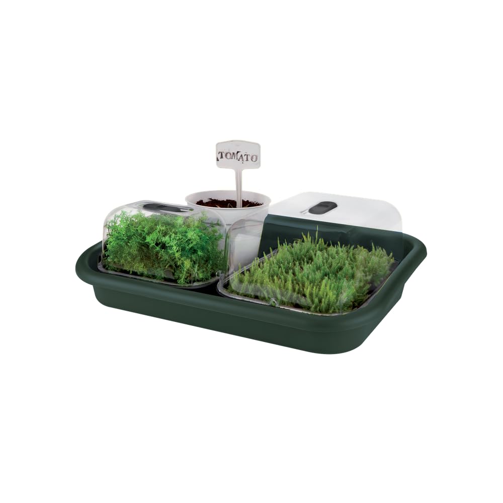 elho Green Basics Anzuchtschale Laubgrün 60 cm Wasserspeicher