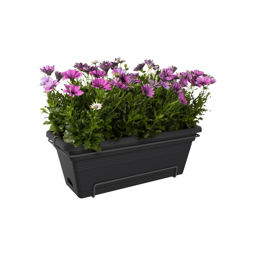 elho Green Basics Balkonkasten XL 55cm Schwarz Untersetzer