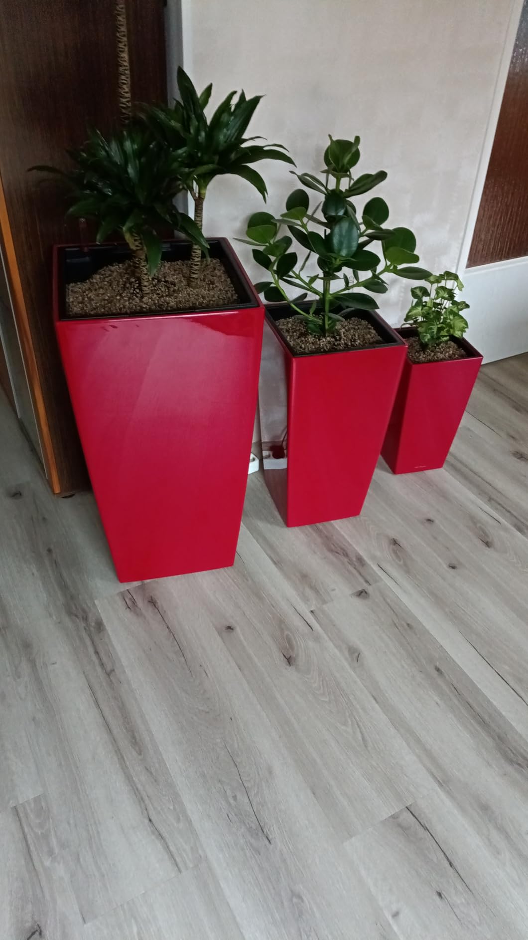 Lechuza CUBICO Premium 50 Pflanzgefäß Scarlerot Hochglanz