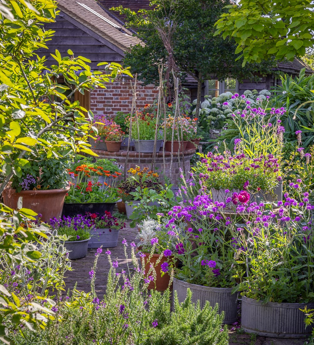 Sarah Raven A Year Full of Pots Gartenkurs 24. September
