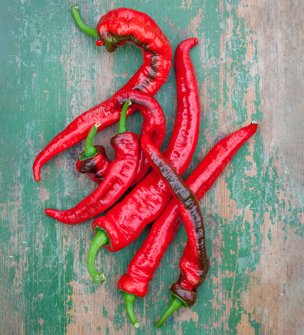 Sarah Raven Seeds Chili Hot Cayenne Samen 20 Samen scharf