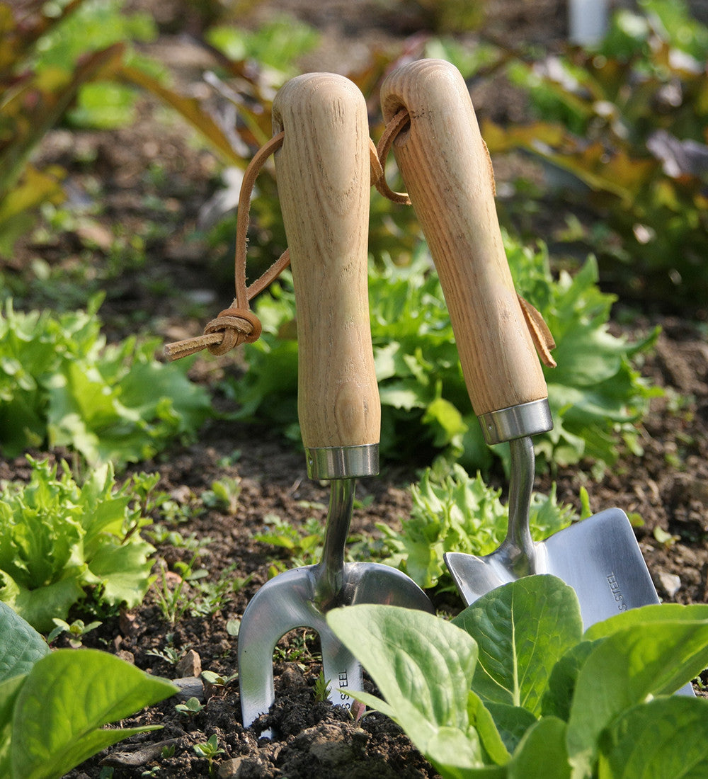 Sarah Raven Gardening Pflanzkelle Edelstahl Esche 32cm