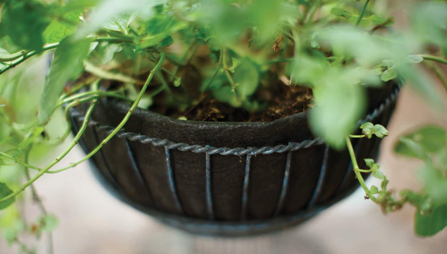 Smart Pot NoCoco Liner Hängeampel Einsatz Stoff 16 inch