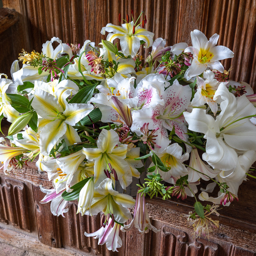 Sarah Raven Bulbs Majestic Lilien Kollektion Blumenzwiebeln 4 Stück