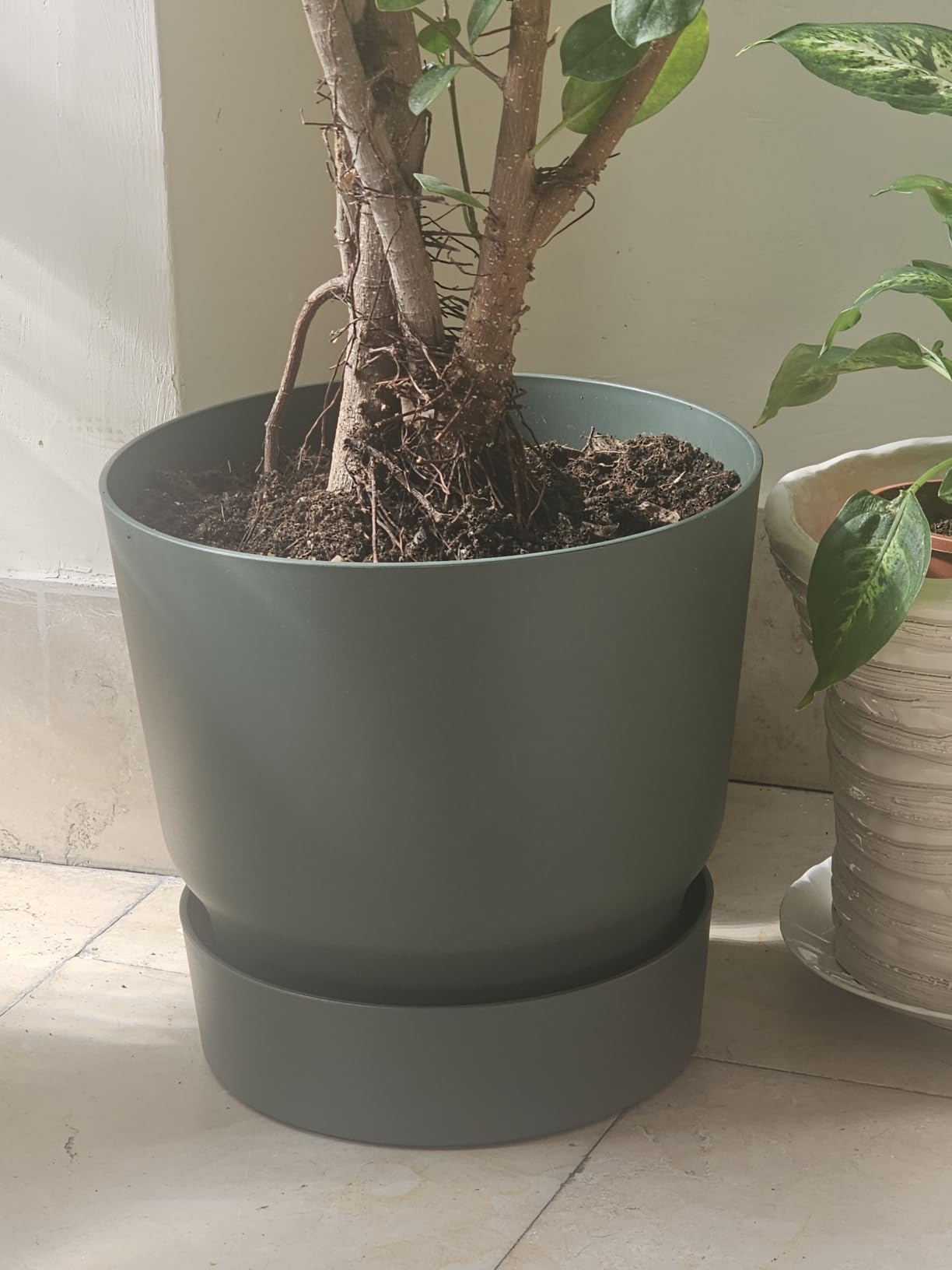 elho Greenville Rund 25 cm Blumentopf Goldener Sand frostbeständig