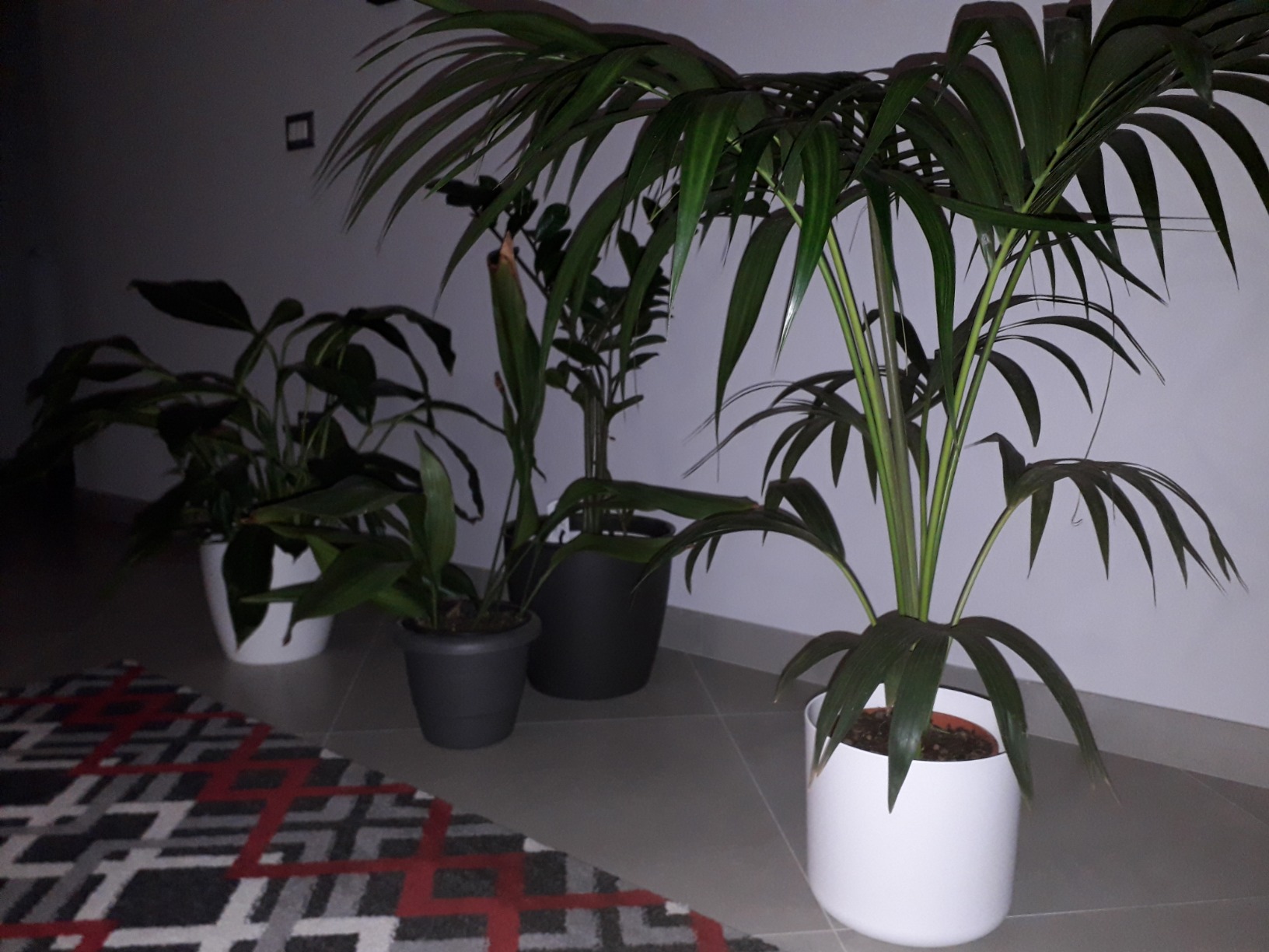 elho Brussels Blumentopf 22cm schwarz metallic rund für innen