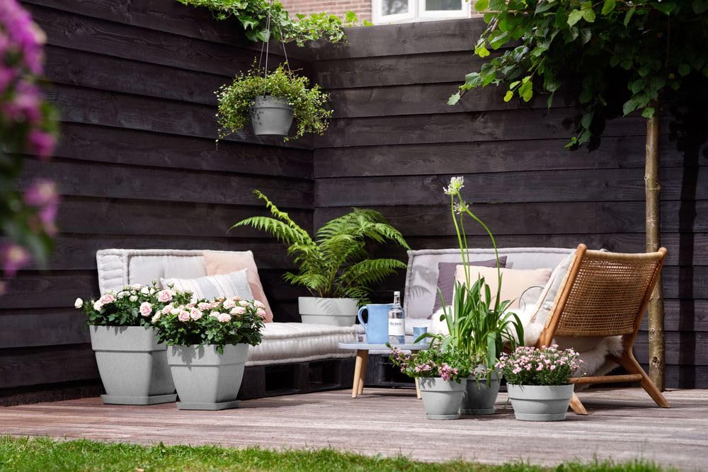 elho Vibia Campana Schale 34 cm Pflanzschale Living Beton frostbeständig