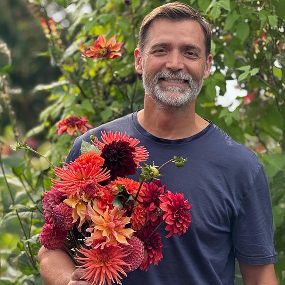 Sarah Raven Patrick Grant Dahlie Knollen 7 Stück Mix