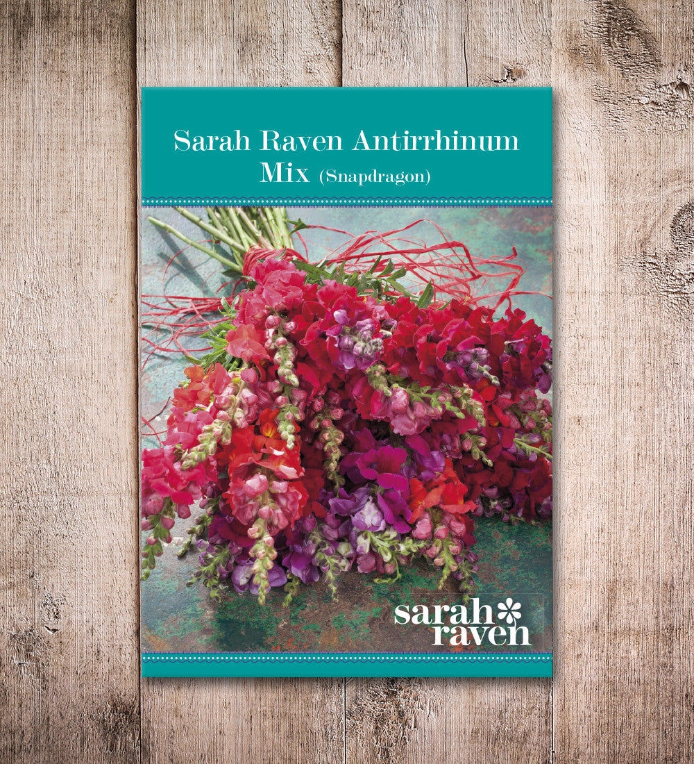 Sarah Raven Antirrhinum Collection Löwenmäulchen Samen 40 Samen