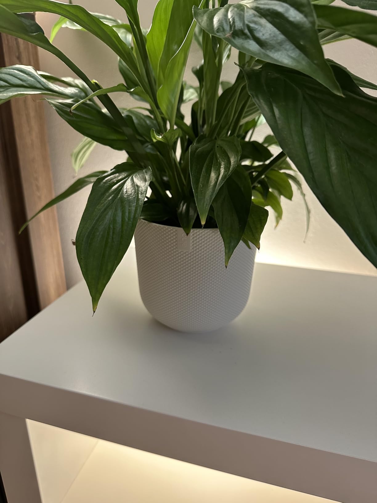 elho Jazz rund 26 Blumentopf Lavendel Lila recycelt